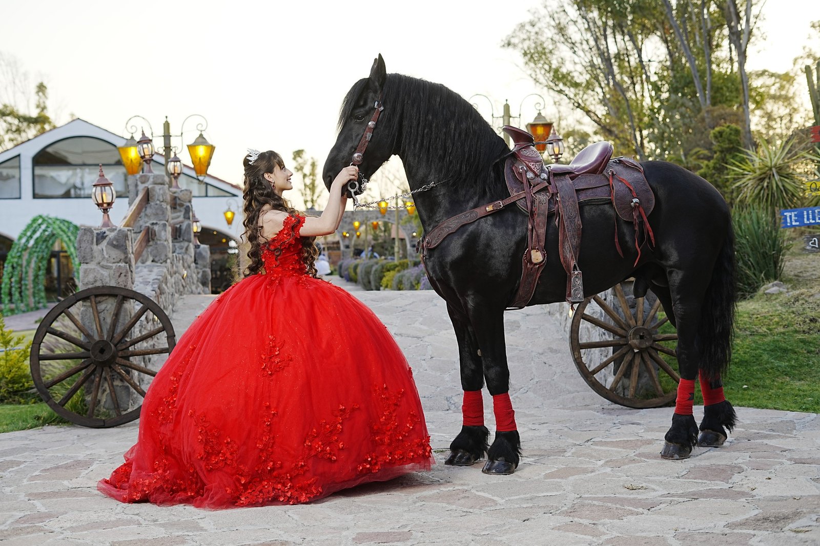 Clienta Foto y Video Texcoco